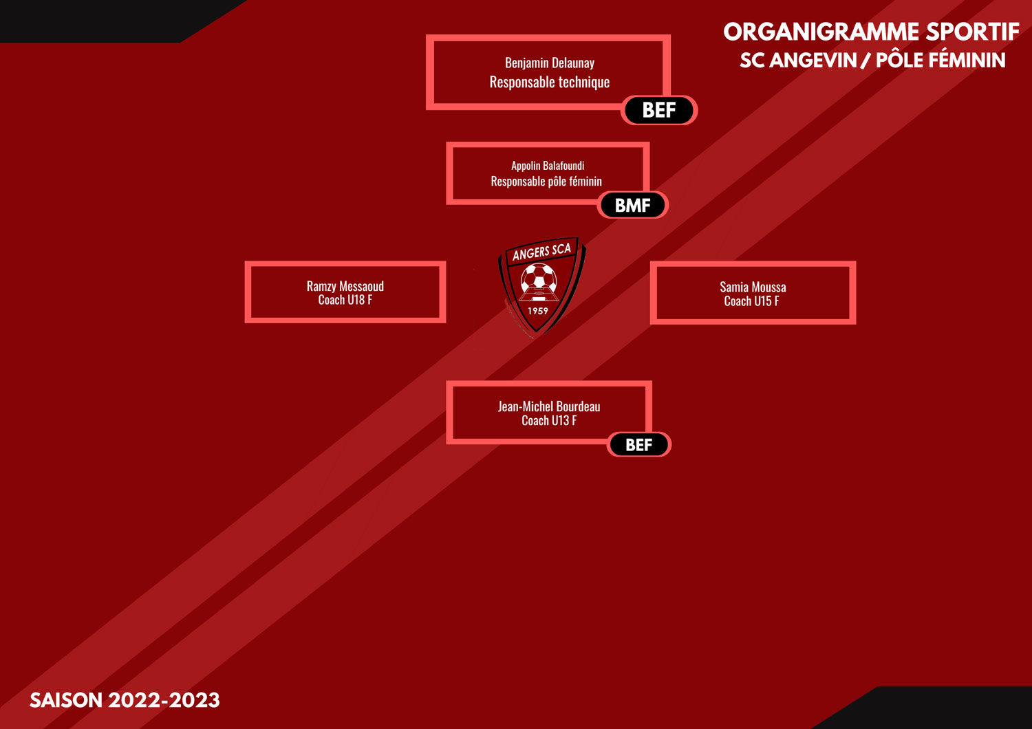 Organigramme administratif Angers SCA